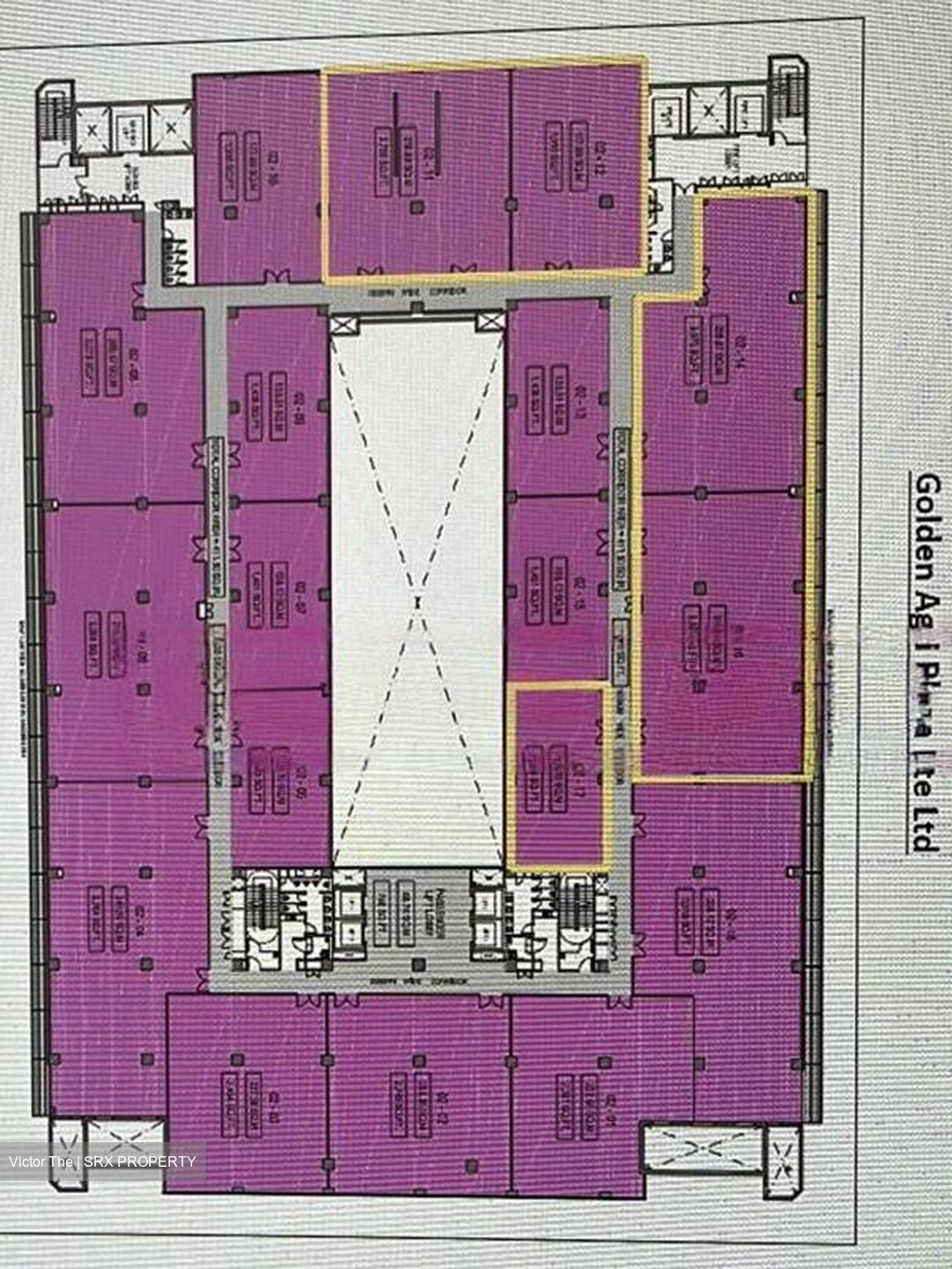 Golden Agri Plaza (D5), Factory #458039241